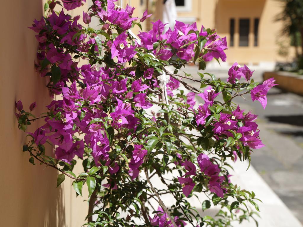 Guest House Masterintrastevere Rome Exterior photo